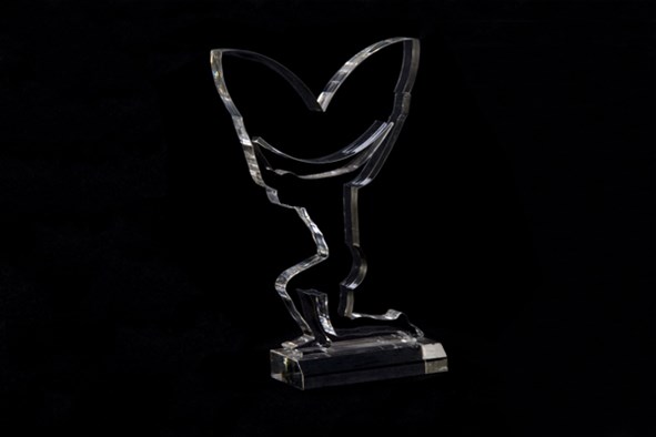 Ziber Awards 2010, nominaties tijdens Adobe User Group XL op woensdag 17 november 2010