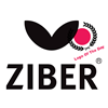 Ziber logo op Logo of the day