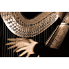 Muziekschool Da Capo presenteert “Blue Planet” Harpconcert