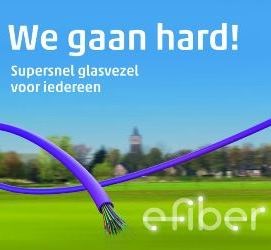 E-Fiber-web