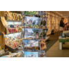 'Eigen' molen bij Boekhandel Plukker met 480 ansichtkaarten van Cora Deutekom